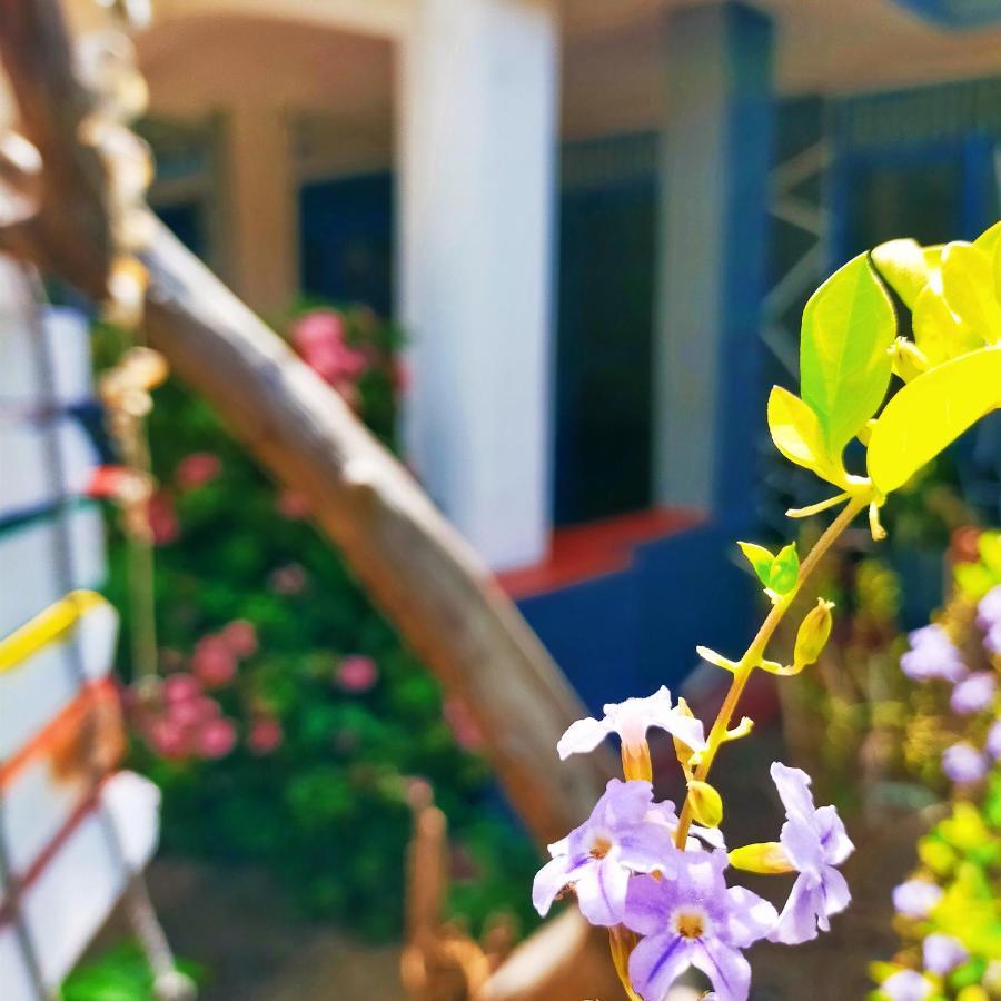 Eastwind Surf Camp Hotel Arugam Bay Exterior foto