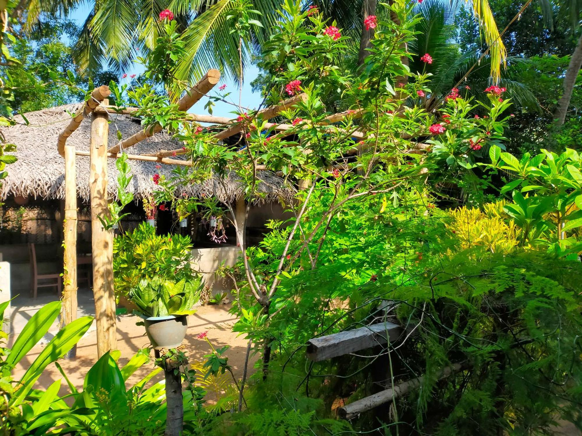 Eastwind Surf Camp Hotel Arugam Bay Exterior foto